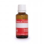 FORMICA RUFA COMPOSE - STANY ZAPALNE DRÓG MOCZOWYCH, KAMICA DRÓG MOCZOWYCH